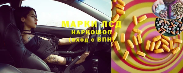 шишки Надым