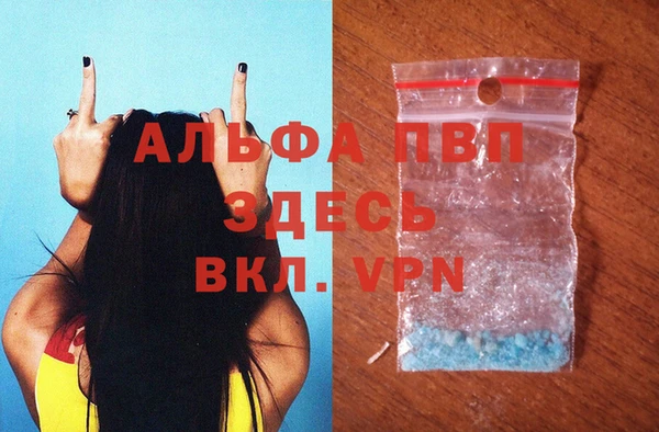 шишки Надым