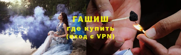 шишки Надым