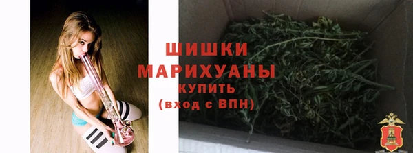 ПСИЛОЦИБИНОВЫЕ ГРИБЫ Наволоки