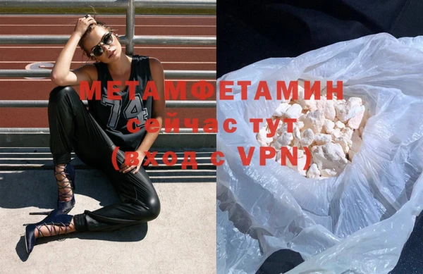 шишки Надым