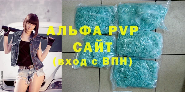 шишки Надым