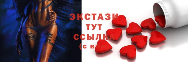 шишки Надым