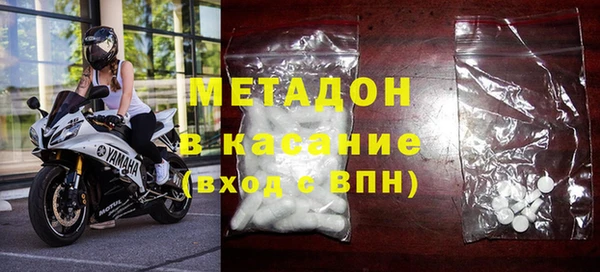 шишки Надым