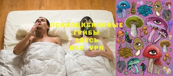 шишки Надым