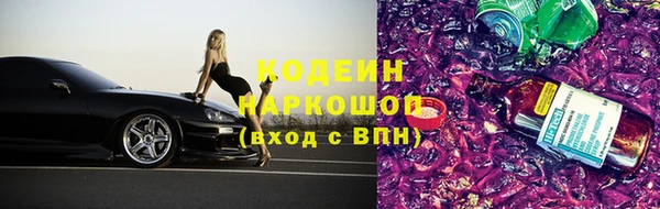шишки Надым