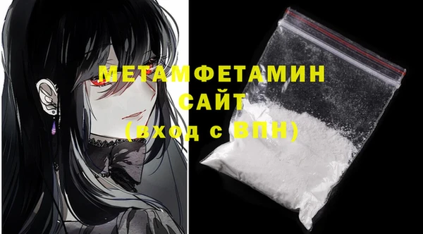 шишки Надым