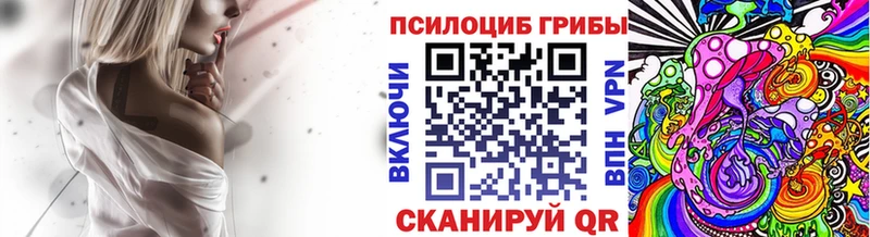 ссылка на мегу ссылка что такое Вологда Псилоцибиновые грибы мухоморы