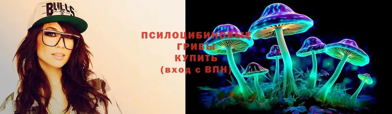 где купить наркотик  Вологда  Галлюциногенные грибы Cubensis 