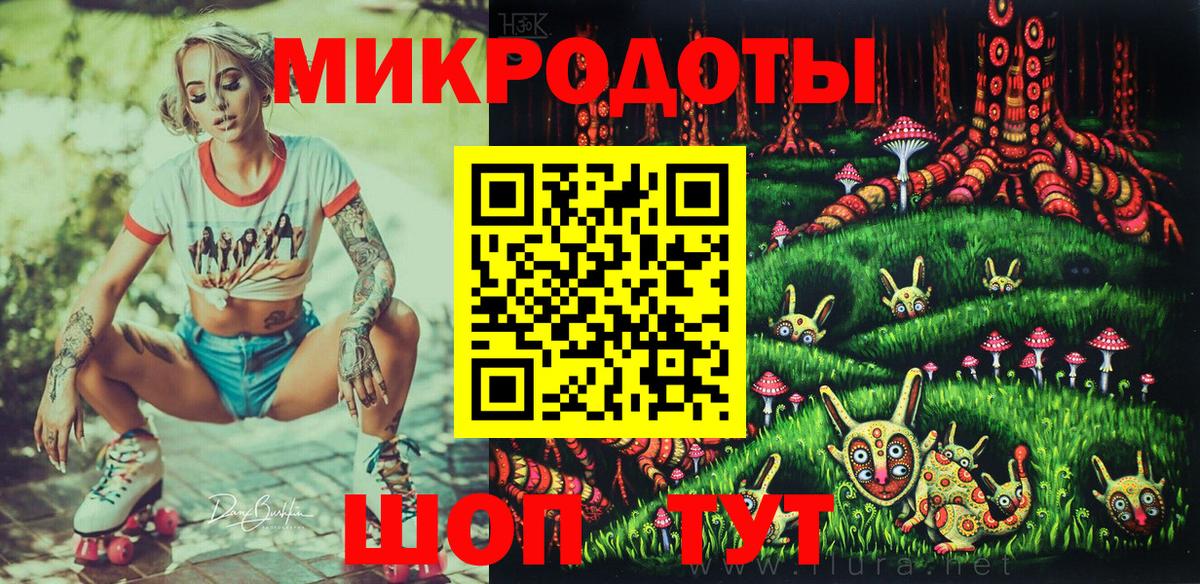 Псилоцибиновые грибы мицелий Вологда